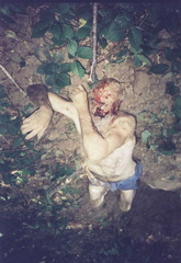  (2)